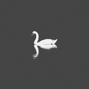 51看片免费视频
