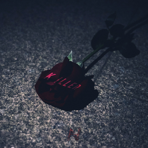 51看片免费视频
